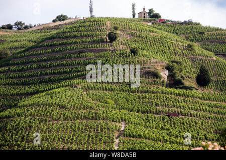 Blick auf die M. Chapoutier Crozes-Hermitage Weinberge in Tain l ' Hermitage, Rhone-Tal, Frankreich Stockfoto