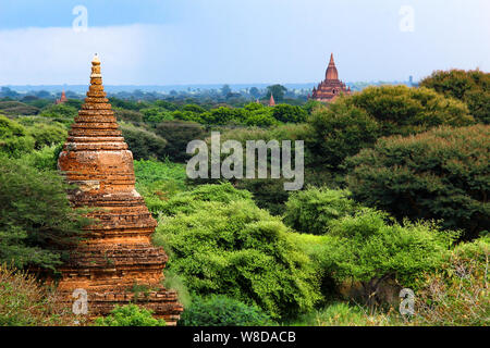 Gipfel des alten buddhistischen Tempel zwischen Bäumen in Bagan, Myanmar/Burma. Stockfoto