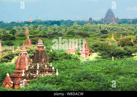 Gipfel des alten buddhistischen Tempel zwischen Bäumen in Bagan, Myanmar/Burma. Stockfoto