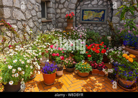 Italien, Capri, Pflanzen und Blumen in den typischen Strassen Stockfoto
