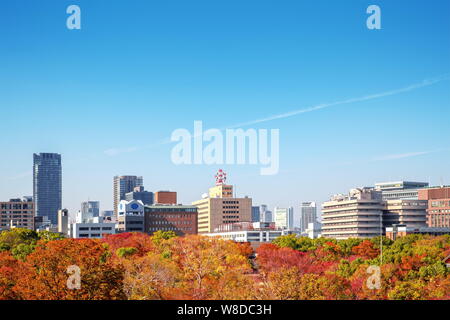 Blick über die Stadt und den Park während der Blätter im Herbst in Osaka, Japan Stockfoto