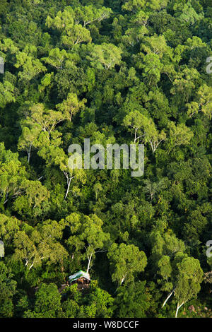 Kleine Holzhütte in der tiefen grünen Dschungel von Myanmar/Birma. Stockfoto