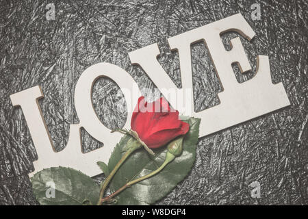 Romantische Hintergrund mit Wort Liebe und rote Rose. Valentinstag Grusskarten. Vintage Farben Foto. Stockfoto