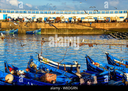 Fischerboote, Scala Hafen Essaouira, Marokko Stockfoto