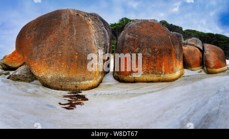 Rote Felsen am Strand auf Wilsons Promentory Quietschen. Stockfoto