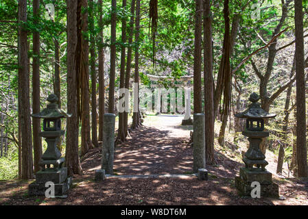 Stein Pagoden und torii Tor an der Ontake Jinja Schrein in Torii Pass in der Nähe von Yabuhara auf der Nakasendo Trail Stockfoto