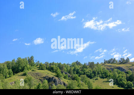 Helle Sommer blauer Himmel über dem grünen Wald wachsen oben auf dem Berge. Schönen Sommer Landschaft mit Bergen, blauen Himmel und Bäumen. Stockfoto