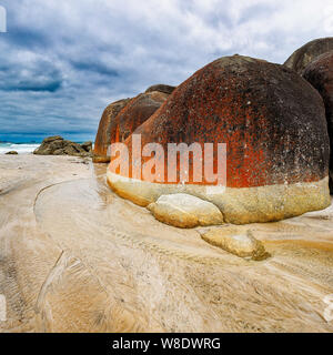 Mehr rote Felsen am Strand quietschend auf Wilson's Promontory Stockfoto