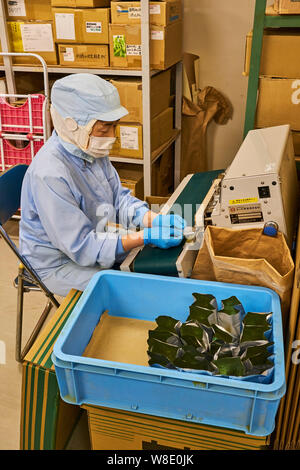 Japan, Honshu, Shizuoka, Tea Factory Stockfoto