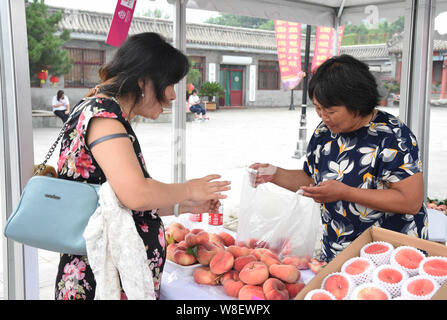 Peking, China. 9 Aug, 2019. Ein Tourist kauft Pfirsich Pfirsiche während einer Messe in Pinggu Bezirk von Peking, der Hauptstadt von China, August 9, 2019. Quelle: Ren Chao/Xinhua/Alamy leben Nachrichten Stockfoto