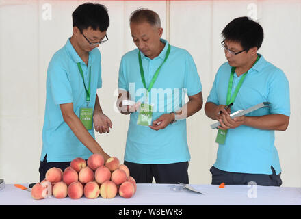 Peking, China. 9 Aug, 2019. Mitarbeiter prüfen die sugariness von Pfirsichen während einer Pfirsich Messe in Pinggu Bezirk von Peking, der Hauptstadt von China, August 9, 2019. Quelle: Ren Chao/Xinhua/Alamy leben Nachrichten Stockfoto
