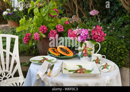 Jenny's Mein jamaikanischen Akki Sammlung auf Tisch im Garten Stockfoto