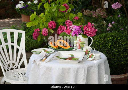 Jenny's Mein jamaikanischen Akki Sammlung auf Tisch im Garten Stockfoto