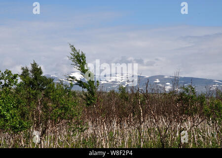 Auf der Fahrt von Schnweden / Pfalz beeindruckende Landschaften der norwegischen Grenze. Stockfoto