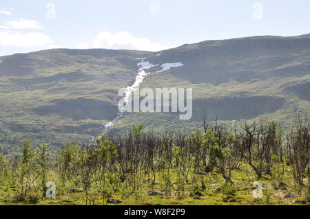 Auf der Fahrt von Schnweden / Pfalz beeindruckende Landschaften der norwegischen Grenze. Stockfoto