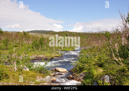 Auf der Fahrt von Schnweden / Pfalz beeindruckende Landschaften der norwegischen Grenze. Stockfoto