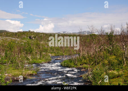 Auf der Fahrt von Schnweden / Pfalz beeindruckende Landschaften der norwegischen Grenze. Stockfoto