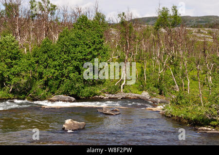 Auf der Fahrt von Schnweden / Pfalz beeindruckende Landschaften der norwegischen Grenze. Stockfoto