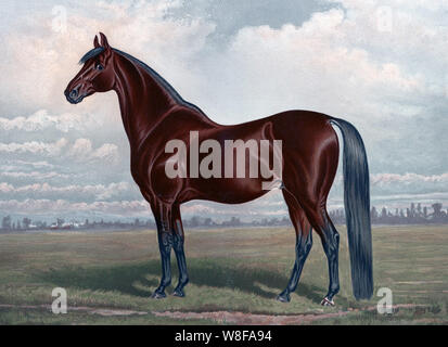 Vintage equine Artwork Stockfoto