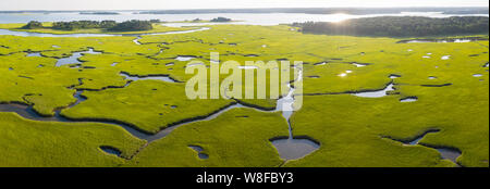 Eine gesunde Salt Marsh wächst in angenehmen Bay auf Cape Cod, Massachusetts. Diese Art der marine Lebensraum dient als Kinderstube für Fische und Wirbellose. Stockfoto