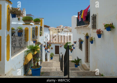 Die engen Gassen der Altstadt von Estepona, Costa del Sol, Spanien. Jede Straße hat seine eigene Farbe der Blumentöpfe. Stockfoto