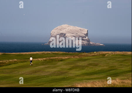 Bass Rock als vom Ufer des Firth von weiter gesehen. Bass Rock host a Gannet Kolonie von über 150.000 Personen. Schottland, Vereinigtes Königreich. Stockfoto