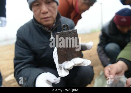 Ein archäologe zeigt Bianzhong, eine alte chinesische Musikinstrument, bestehend aus einer Reihe von Bronze Glockenspiel, nachdem es ausgraben aus der Tomb dating b Stockfoto