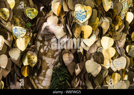 Ihre Wünsche an der Gold Bodhi Schreiben auf eine Metallstange unter dem Baum aufgehängt. In der Nähe der Gold farbigen Blätter des Baumes in dem Buddhistischen Tempel o Stockfoto