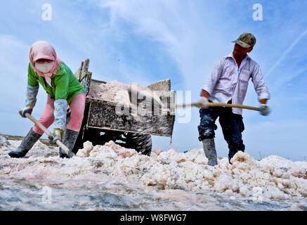 Chinesische Arbeiter Ernte getrocknet Salz in Yanchi Dorf, Gaotai County im Nordwesten der chinesischen Provinz Gansu, 24. August 2015. Stockfoto