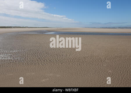 Dünen von Borkum, Deutschland, Europa, Insel, Borkum, ein Weg zum Meer Stockfoto