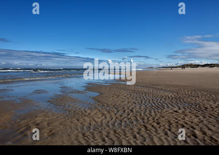 Dünen von Borkum, Deutschland, Europa, Insel, Borkum, ein Weg zum Meer Stockfoto