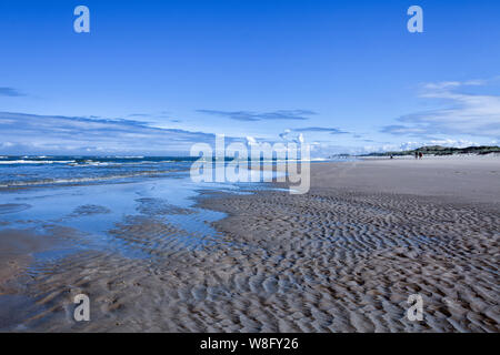 Dünen von Borkum bei Ebbe, Deutschland, Europa, Insel, Borkum Stockfoto