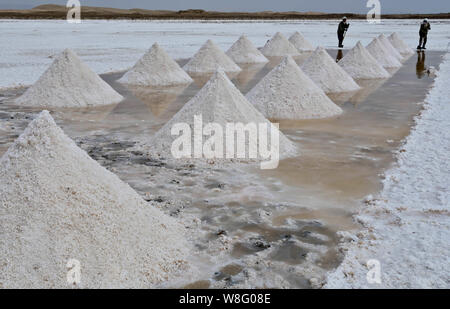 Chinesische Arbeiter Ernte getrocknet Salz in Yanchi Dorf, Gaotai County im Nordwesten der chinesischen Provinz Gansu, 24. August 2015. Stockfoto