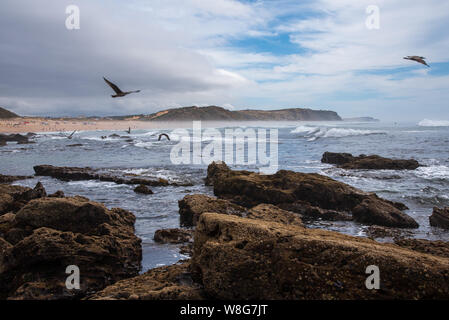 Torres Vedras, Portugal. 06. August 2019. Santa Rita Strand in Torres Vedras Portugal Stockfoto