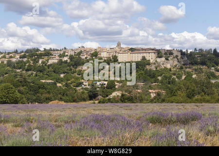 Lavendelfelder in der Nähe von Sault, Provence, Frankreich. Stockfoto