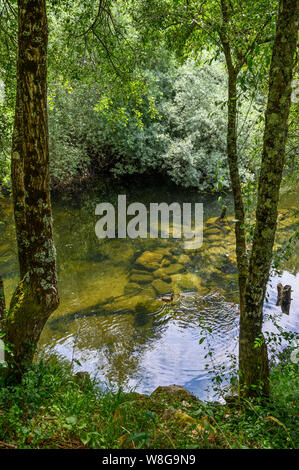 Der Fluss Avia in der Stadt Ribadavia auf dem Zusammenfluss von Avia und Mino Flüsse in der Provinz Orense, Galicien, Spanien Stockfoto