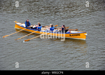 Sechs weiblichen Ruderer mit männlichen Cox/Ausbilder auf dem Fluss Avon, Bristol, England Stockfoto