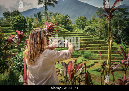 Frau nimmt Bild mit einem Smartphone auf Reis Terrasse, auf Bali, Indonesien Stockfoto