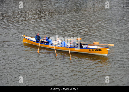 Sechs weiblichen Ruderer mit männlichen Cox/Ausbilder auf dem Fluss Avon, Bristol, England Stockfoto