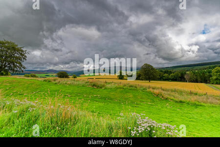 KILDRUMMY CASTLE ABERDEENSHIRE SCHOTTLAND AUF DIE LANDSCHAFT VOM SCHLOSS Stockfoto