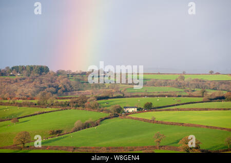 Die Landschaft leuchtet auf diesem schönen Dewey morgen in Warwick, England. Hörte der Regen auf und füllt einen Regenbogen am Himmel auf, als die Sonne strahlen nach unten. Stockfoto