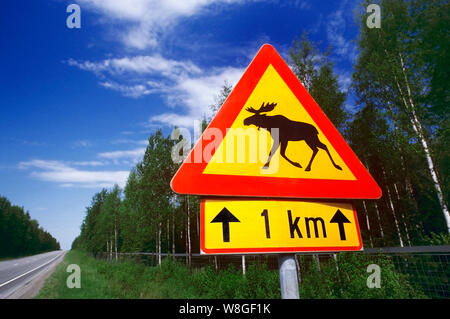 Elch ELCH Gefahr Schild in Finnland Warnung der wildlebenden Elche Überqueren der Autobahn in den nächsten 1 km Kilometer Stockfoto