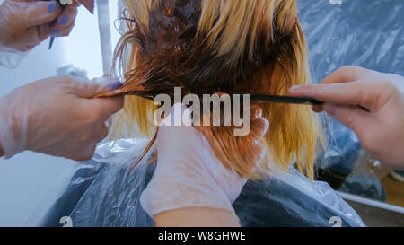 Zwei professionelle Friseure Färbung Haare der Frau Client im Studio Stockfoto