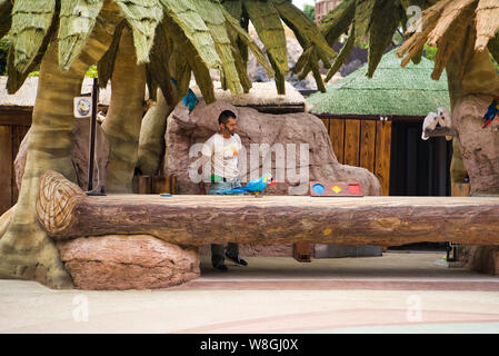 Lanzarote, Kanarische Inseln, Spanien - 20. April 2019: Rancho Texas Park ist der größte Zoo in Lanzarote. Show mit Papageien. Ausgebildete Papageien Stockfoto