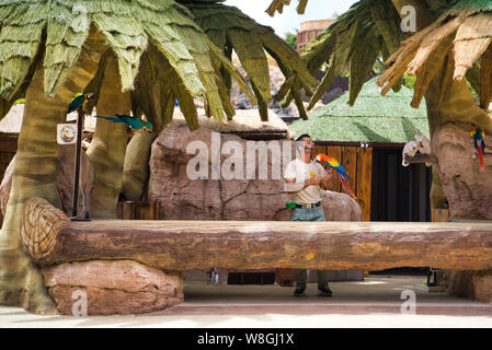 Lanzarote, Kanarische Inseln, Spanien - 20. April 2019: Rancho Texas Park ist der größte Zoo in Lanzarote. Show mit Papageien. Ausgebildete Papageien Stockfoto