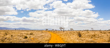 Erstaunlich Savannah ebenen Landschaft und Safari in Kenia Stockfoto