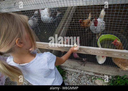 Kind Huhn Stockfoto