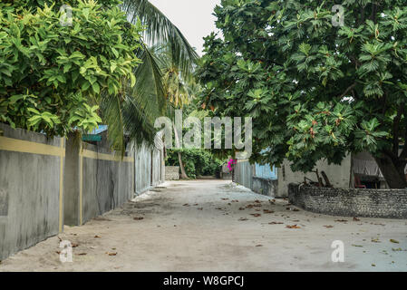 Leere Straße in traditionellen maledivischen Dorf auf der Insel, das Baa Atoll Fehendhoo Stockfoto