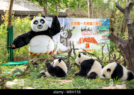 Die panda Drillinge Meng Meng, Shuai Shuai und Ku Ku essen Neben einem Entertainer als Po vor einem Plakat für den Film "Kung Fu Panda 3' gekleidet Stockfoto