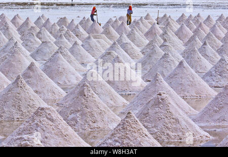 Chinesische Arbeiter Ernte getrocknet Salz in Yanchi Dorf, Gaotai County im Nordwesten der chinesischen Provinz Gansu, 24. August 2015. Stockfoto
